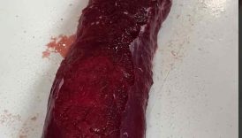 the texture of this exotic meat is actually crazy… #shorts
