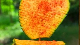 Amazing Style Mango Masala 🤤 | #shorts #trending #food #masala #mango