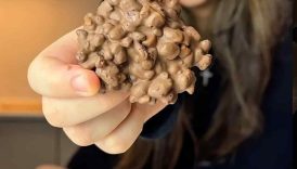 Cocopops snacks #easyrecipe #chocolate #shorts