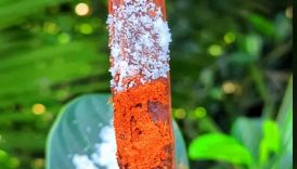 Mouth watering tamarind (Tetul) pickle 🤤 #shorts #trending #food #tamarind #masala