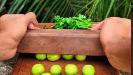 Mouth watering boroi makha 😋🤤 #shorts #trending #food #fruit