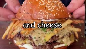 Pizza vs Burger