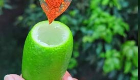 Unique Style To Eat Lemon Masala 😋 #shorts #food #fruit #lemon #masala