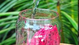 Healthy Dragonfruit Juice 🤤 | #shorts #trending #food #dragonfruit #juice