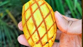 Tangy Spicy Masala Mango Recipe 🤤 #shorts #food #fruit #masala #mango