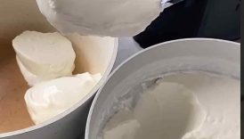 Homemade yogurt with only two ingredients!