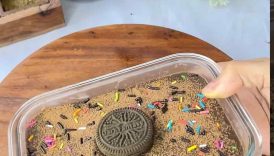 Viral No-Bake Lunch Box Cake😋 | Easy Cake Recipe🤩 #shorts #trending #lunchboxcake