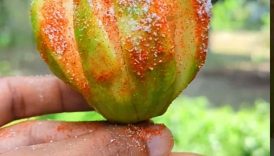 June Plum Rose Style Masala 😋 | #shorts #trending #masala #fruit