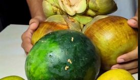 Summer Special Mixed Fruit Desserts 🤤 #shorts #viral #trending #food #dessert