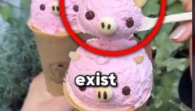 3 Brilliant Things from Japan that should exist everywhere! 🇯🇵👌🏼