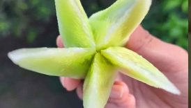 Cucumber New Cutting Hacks 😱 #shorts #trending #food #fruit