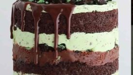 Every layer of this no-churn mint chocolate chip ice cream cake is 🤤 #shorts #icecream #cake