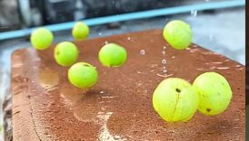 Spicy Amla Masala In Village 😋 #shorts #food #fruit #masala #amla