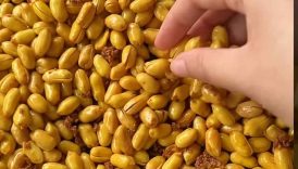 Kacang Gurih Berbumbu 🥜 #shorts