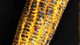 Street Style Roasted Corn 🌽🔥 | #shorts