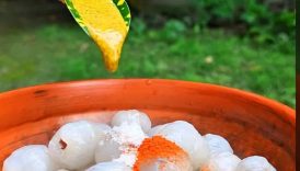 Spicy & Tasty Litchi Masala 😋 #shorts #food #fruit #masala #litchi
