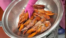 Making Lobster at a Korean High School 🇰🇷🦞 #korea #southkorea #seoul #koreanfood