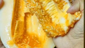 Best Summer Seasonal Food #shorts #food #fruit #trending