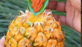 Amazing Masala Pineapple| Traditional Food Home #shorts #viral #food #masala #fruit