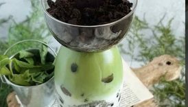 Potted Plant Boba Drink #matcha