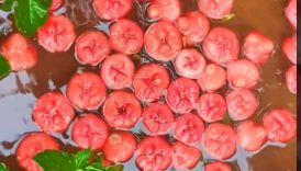 Amazing Rose apple Masala 🤤 #shorts #trending #food #fruit #roseapple #masala