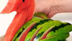 Level 1 to 100 Watermelon Challenge