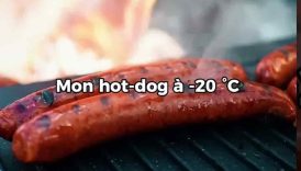 Mon hotdog à -20°C / My -20°C hotdog