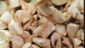 The Best Chicken Fricassee Recipe