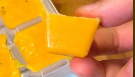 Immunity Boost Recipe | Lemon Ginger Turmeric Cubes for Natural Health 🌱🍋