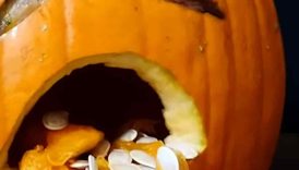Worlds BEST Pumpkin Idea? #Shorts