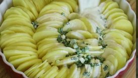 Amazing Potato Gratin