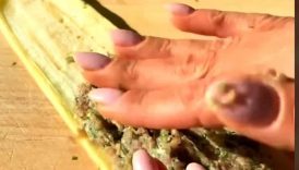 Eggplant Kebab Rolls