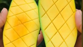 Raw Mango Spicy Masala 🤤 #shorts #trending #food #fruit #masala #mango