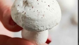 The cutest meringue mushrooms for decorating a Yule log cake (or any cake!) #meringues #cake #baking