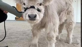 Watch me grow up in 30 Seconds! 🥹