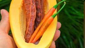 Mouth Watering Tamarind (Tetul) Masala 😋 #shorts #food #fruit #masala