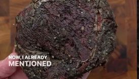 What’s the difference between Bison and Beef?! #shorts