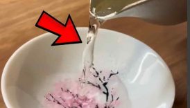 3 Things In Japan that always surprise Foreigners 🇯🇵❤️