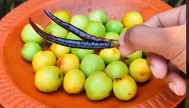Fresh Spicy Boroi Makha Recipe 🤤😋 #shorts #food #fruit #masala