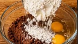 Chocolate Coconut Cake 🍫🥥🍰