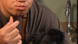 Happy Birthday Sora!! #recipe #cooking #dog #shorts #dogrecipes