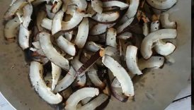 Dry Roasted Coconut Powder | Pisa huwa sukha khopra