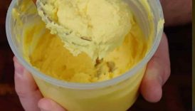 Can you make Mayo out of Beef Tallow?!