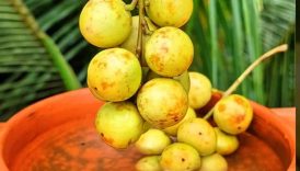 Spicy Lotkon Fruit | Fruit Masala 😋 #shorts #food #fruit #masala #lotkon