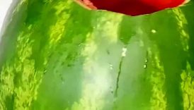 Did he REALLY do that with a watermelon!?
